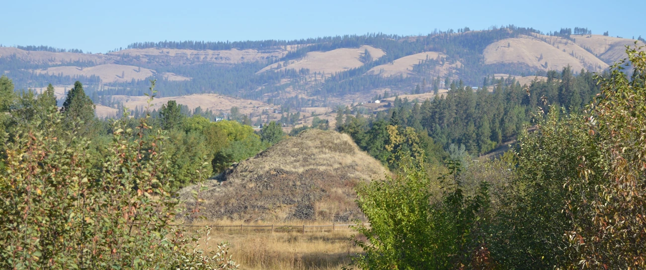 A rock outcropping with bushes framing the foreground and a taller plateau in the background.
